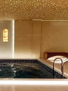 private wellness render work 8